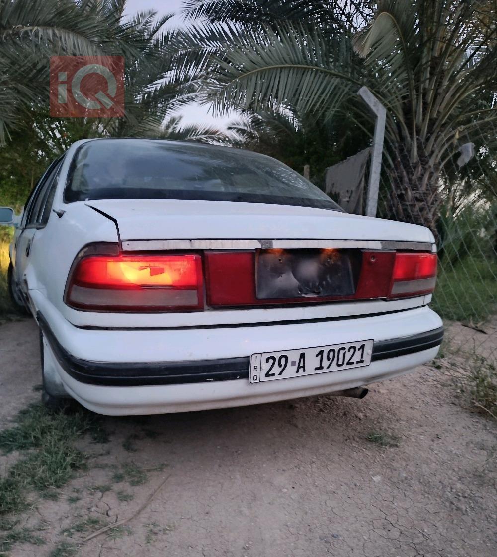 دايو برنس
